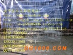 供应兔子笼狐狸笼狐狸食盒鹌鹑笼鹌鹑饮水器鸡鸽兔笼料盒食盒图2